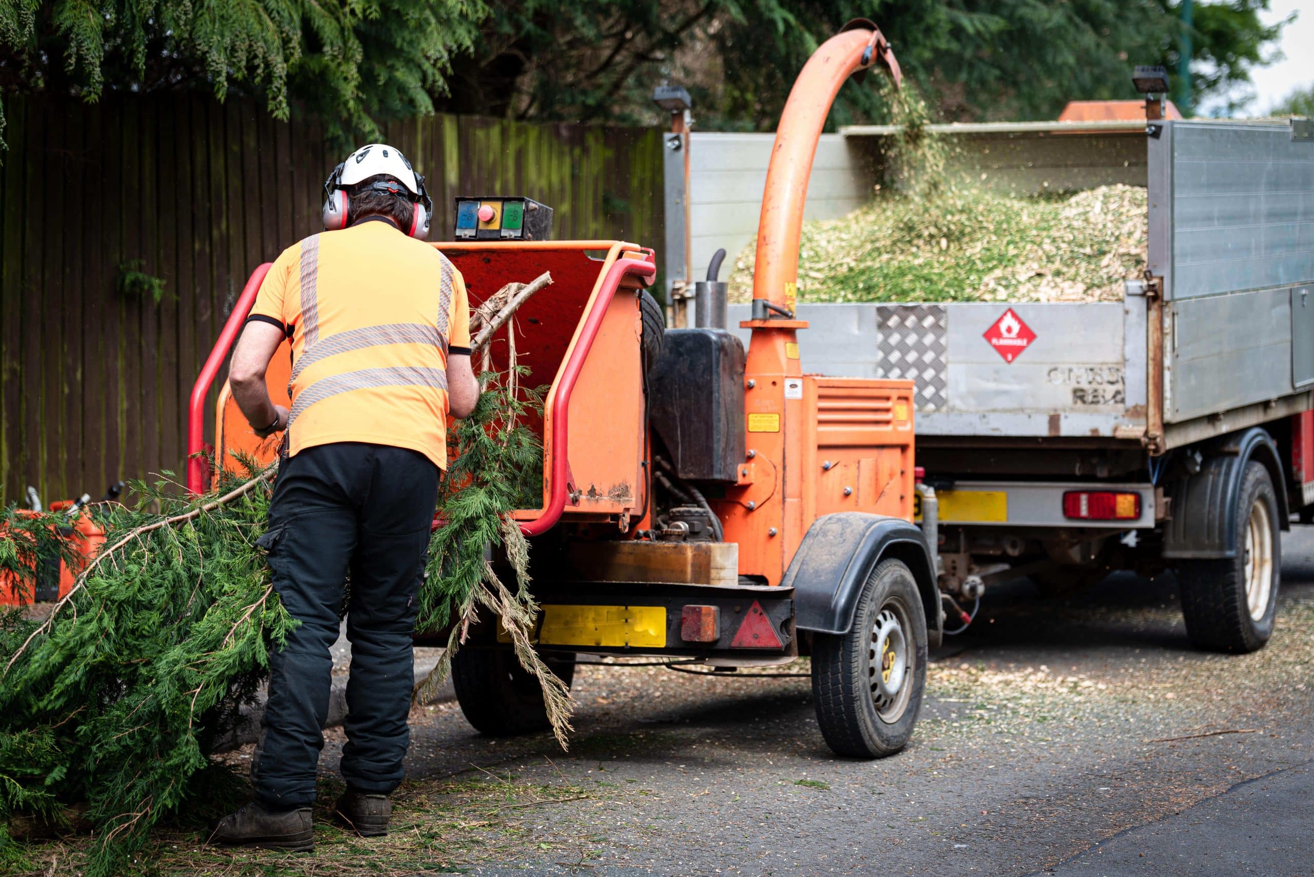 Tree Stump Grinding/Removal West Brompton SW10